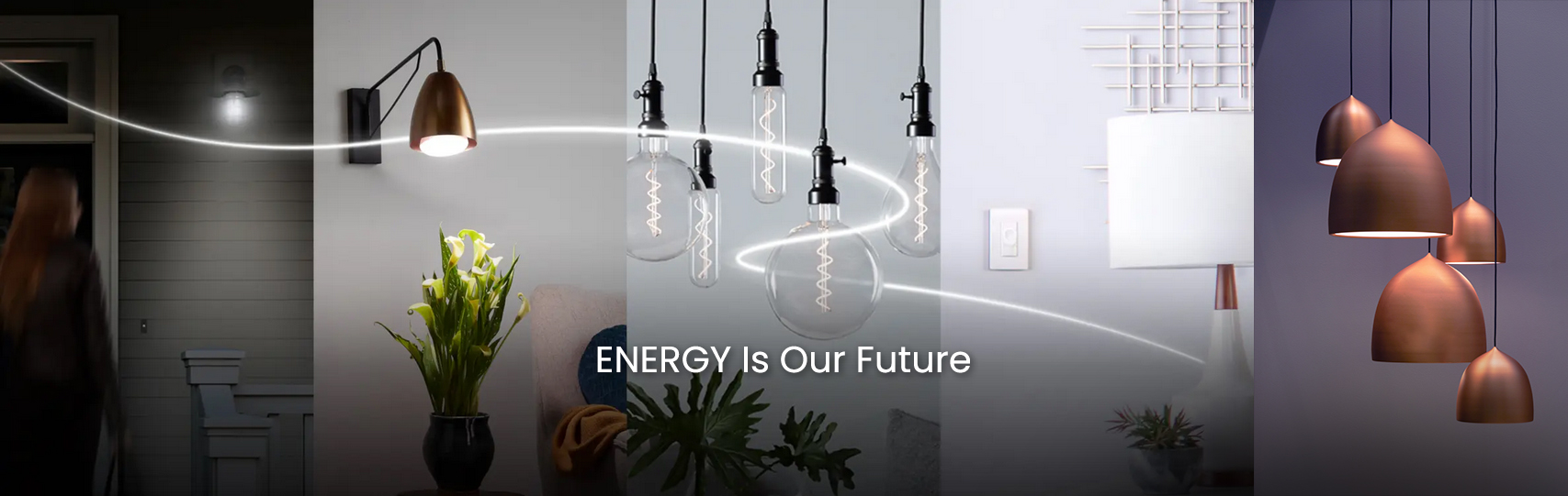 Energy is our future